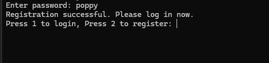 Successful Login Process
